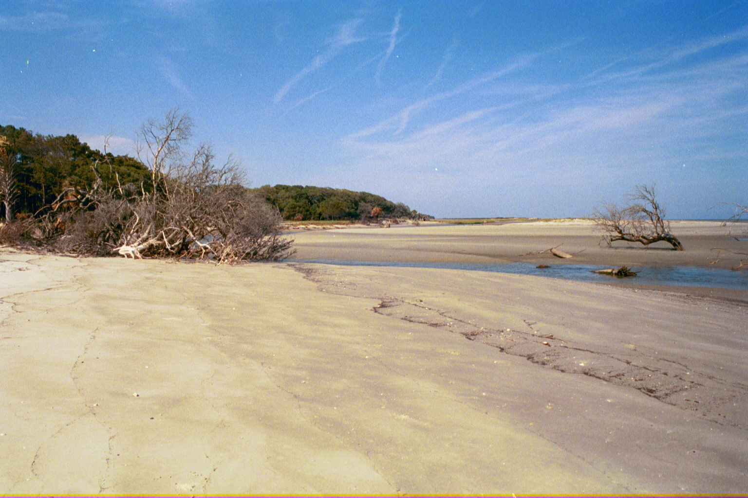 Ossabaw landscape — allosbra (10)