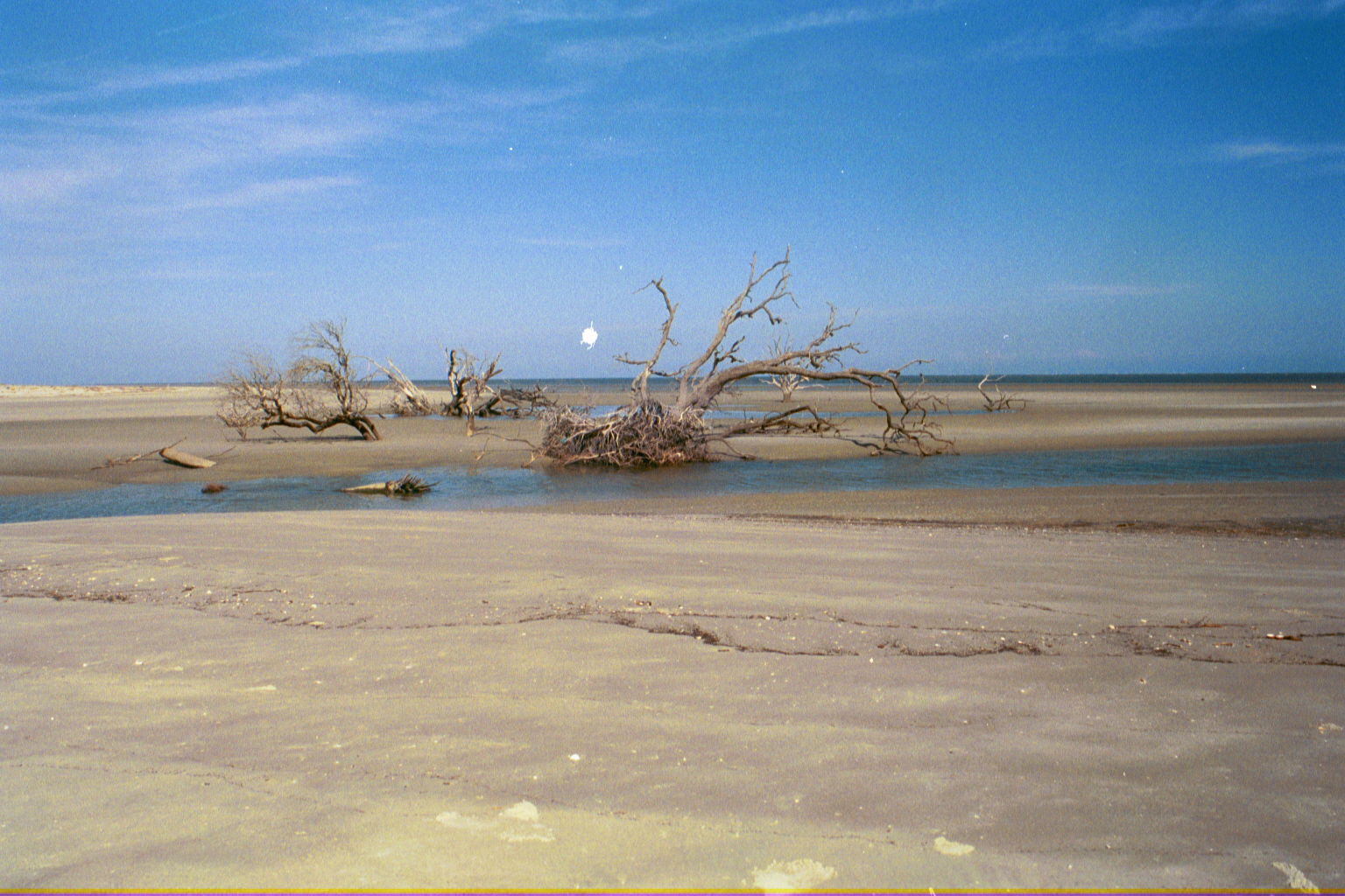 Ossabaw landscape — allosbra (11)