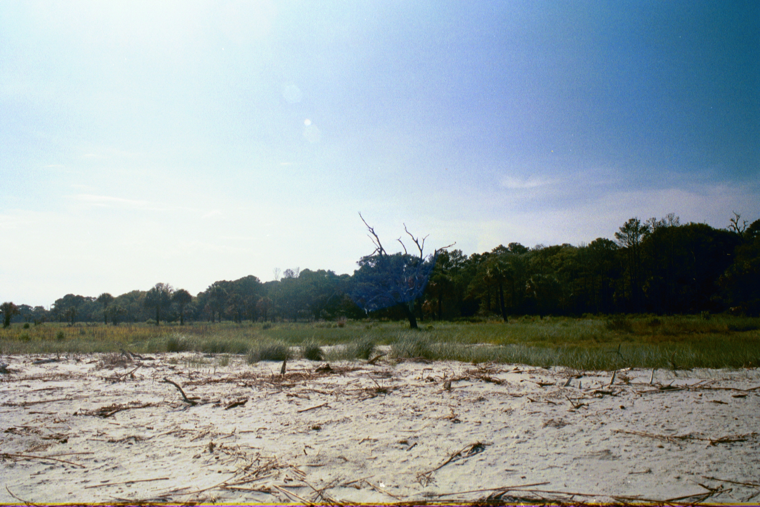 Ossabaw landscape — allosbra (12)