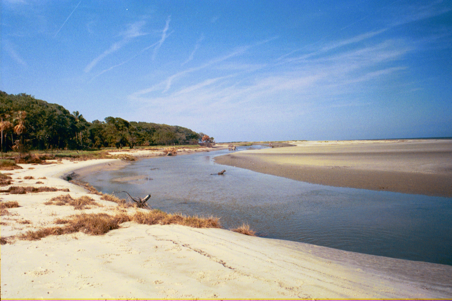 Ossabaw landscape — allosbra (15)