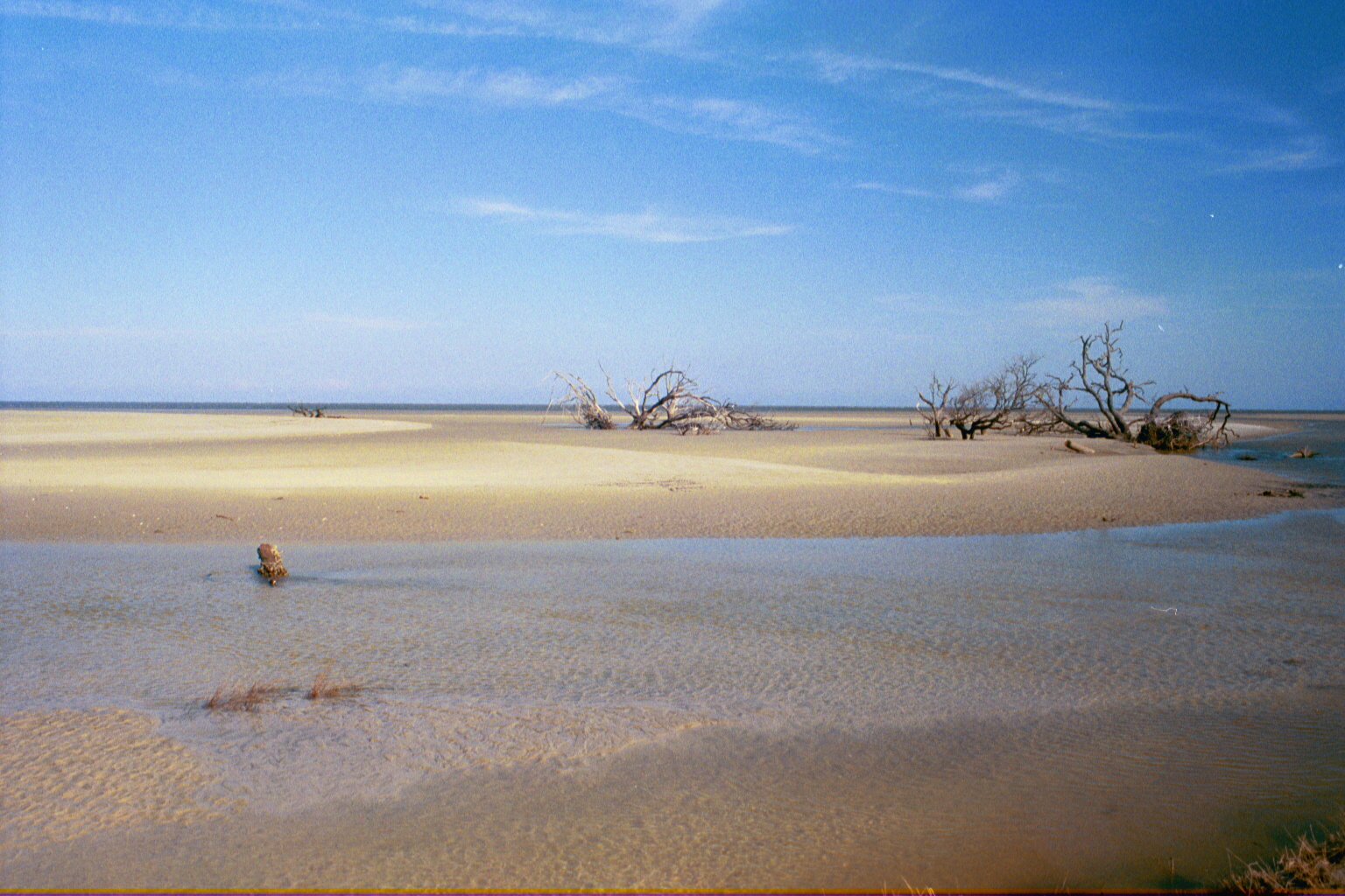 Ossabaw landscape — allosbra (17)