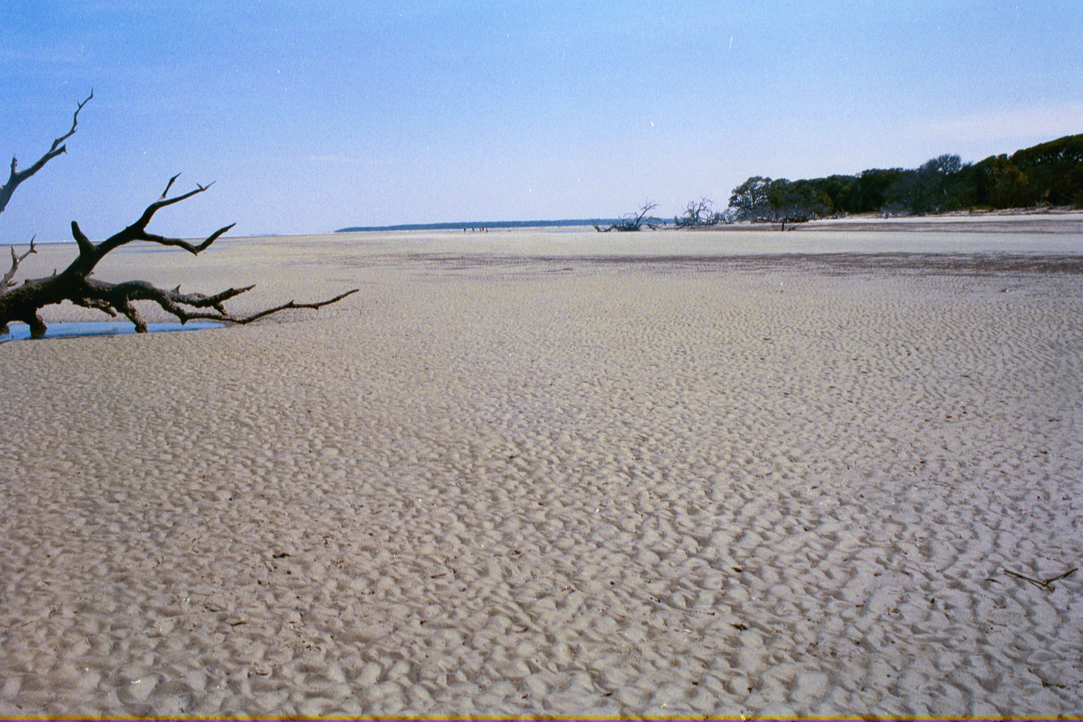 Ossabaw landscape — allosbra (246)