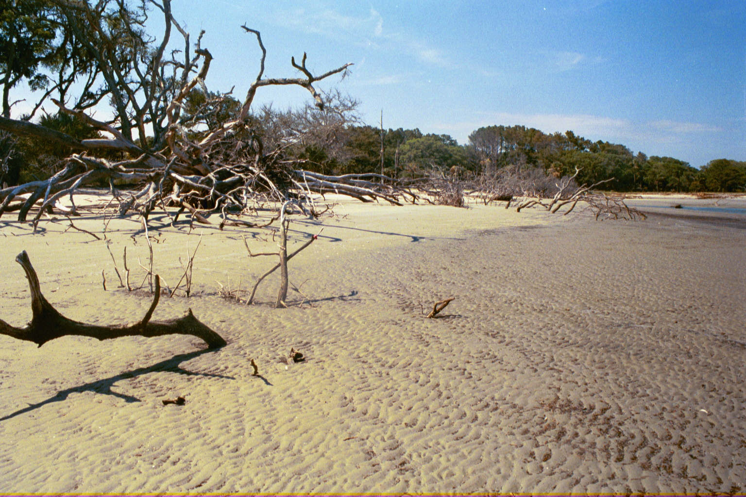 Ossabaw landscape — allosbra (29)