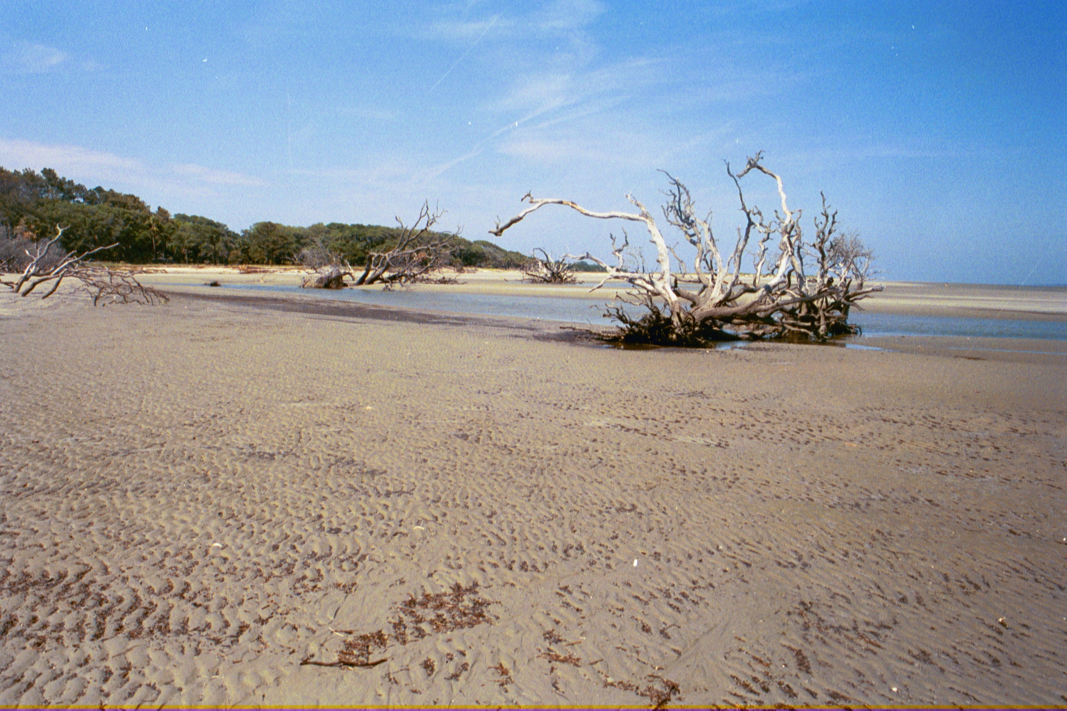 Ossabaw landscape — allosbra (30)