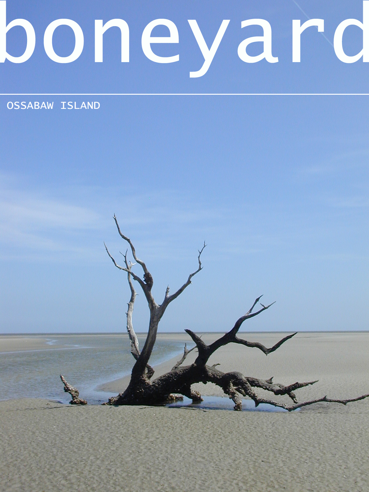 Ossabaw landscape — allosbra (302)