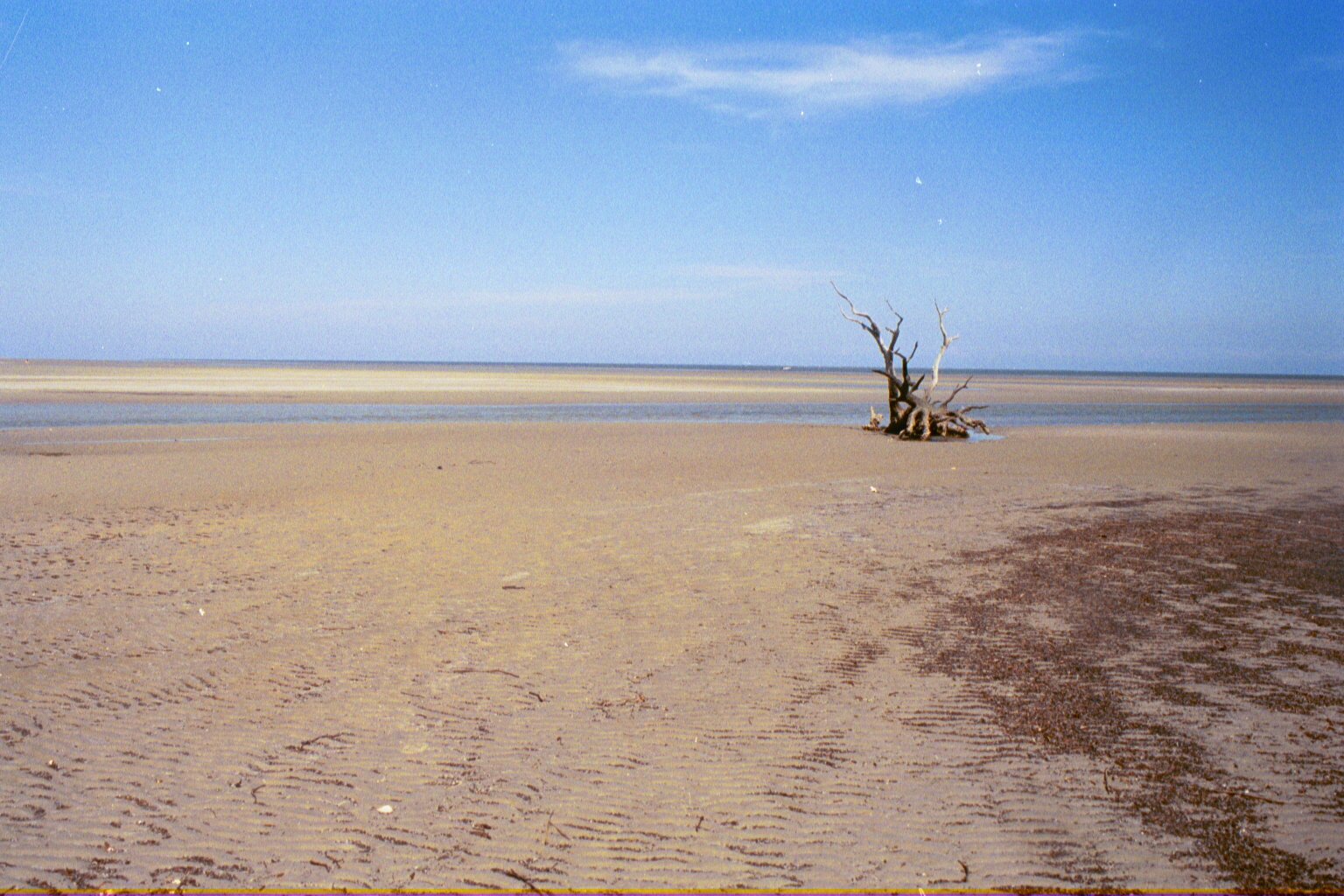 Ossabaw landscape — allosbra (31)