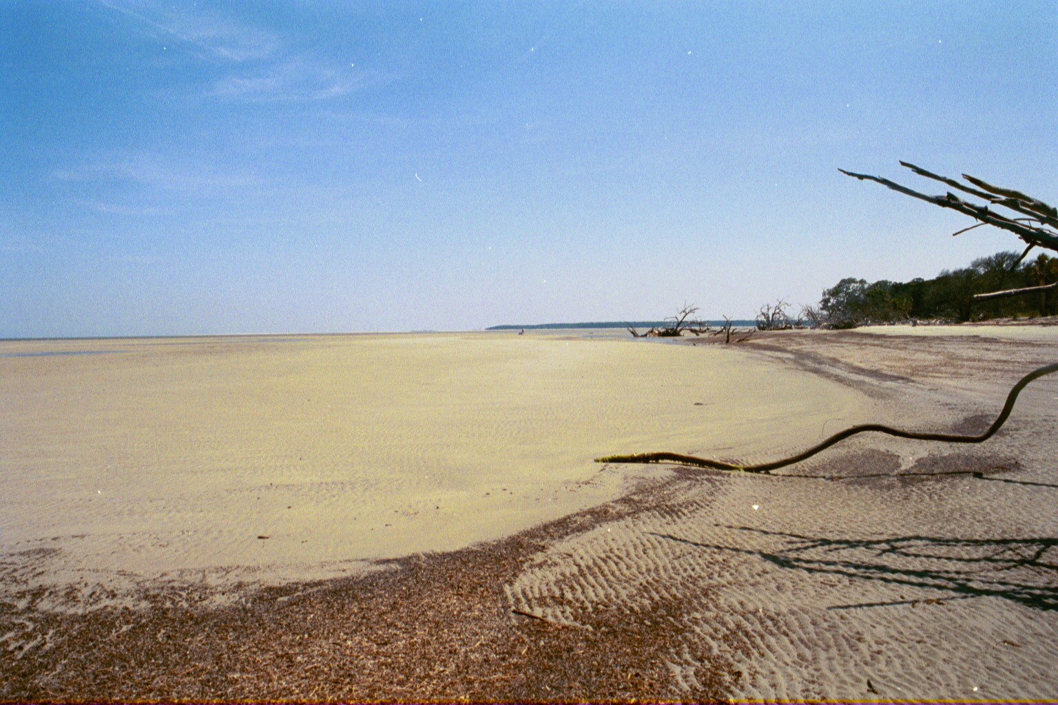 Ossabaw landscape — allosbra (32)
