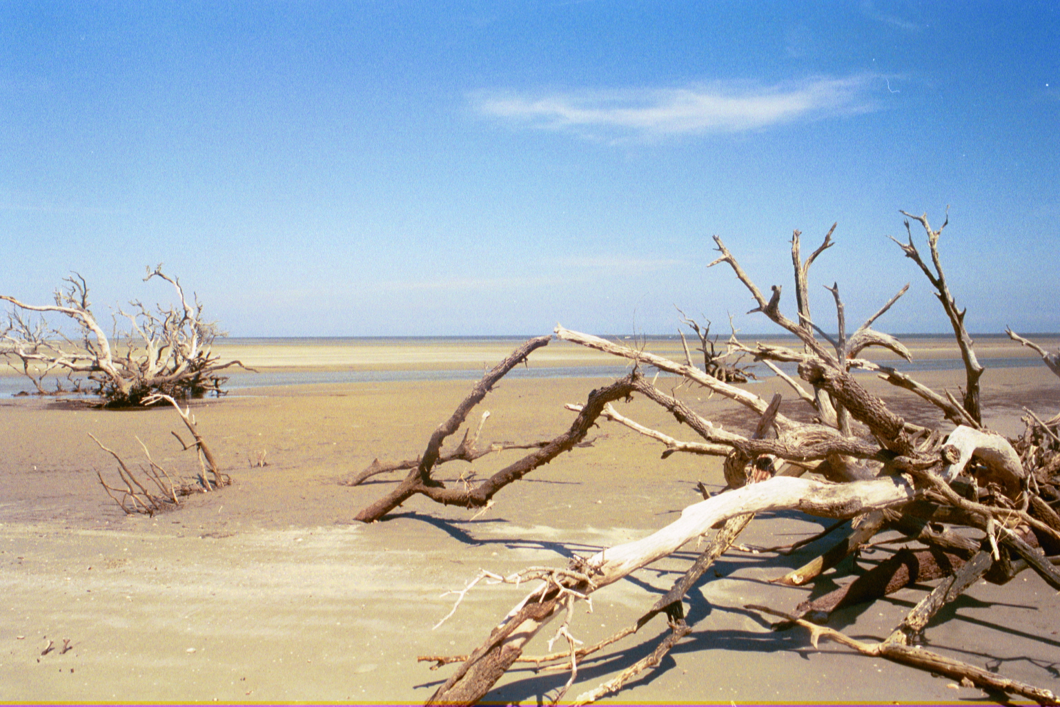 Ossabaw landscape — allosbra (38)