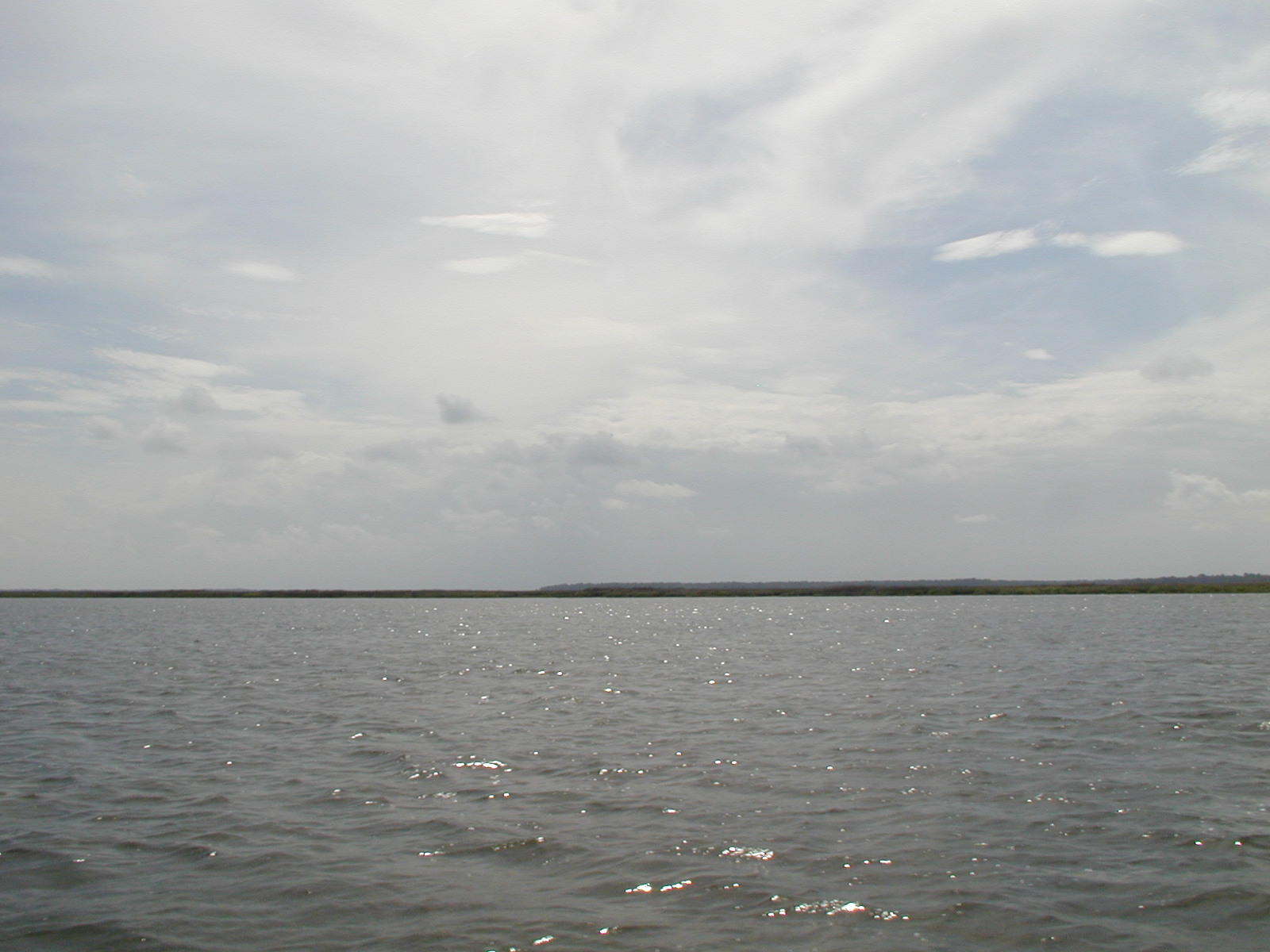 Ossabaw landscape — oss (39)