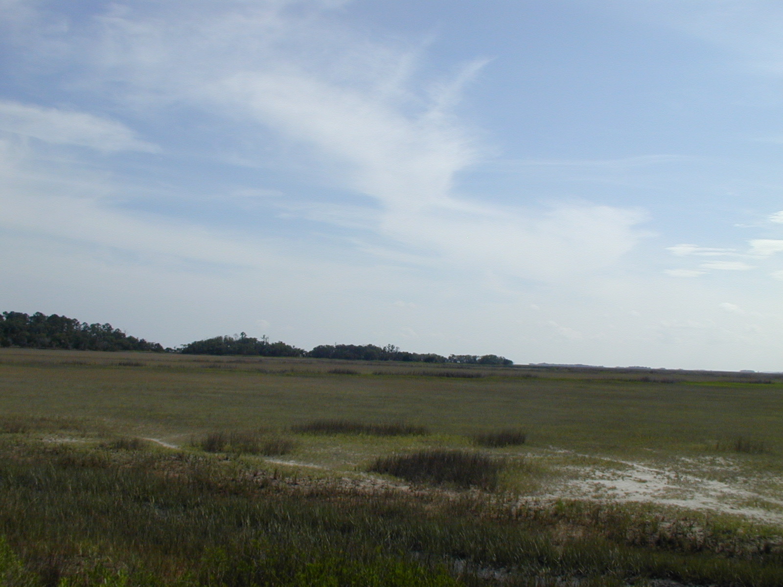 Ossabaw landscape — oss (52)