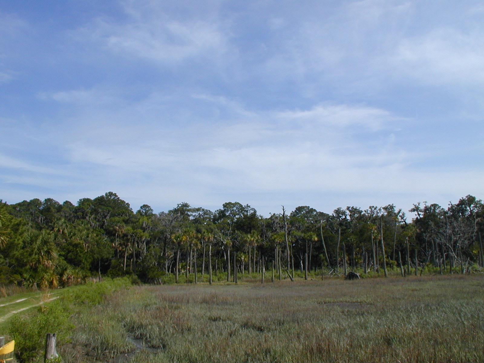 Ossabaw landscape — oss (58)