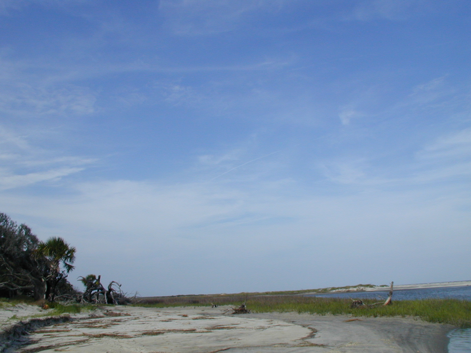 Ossabaw landscape — oss (76)