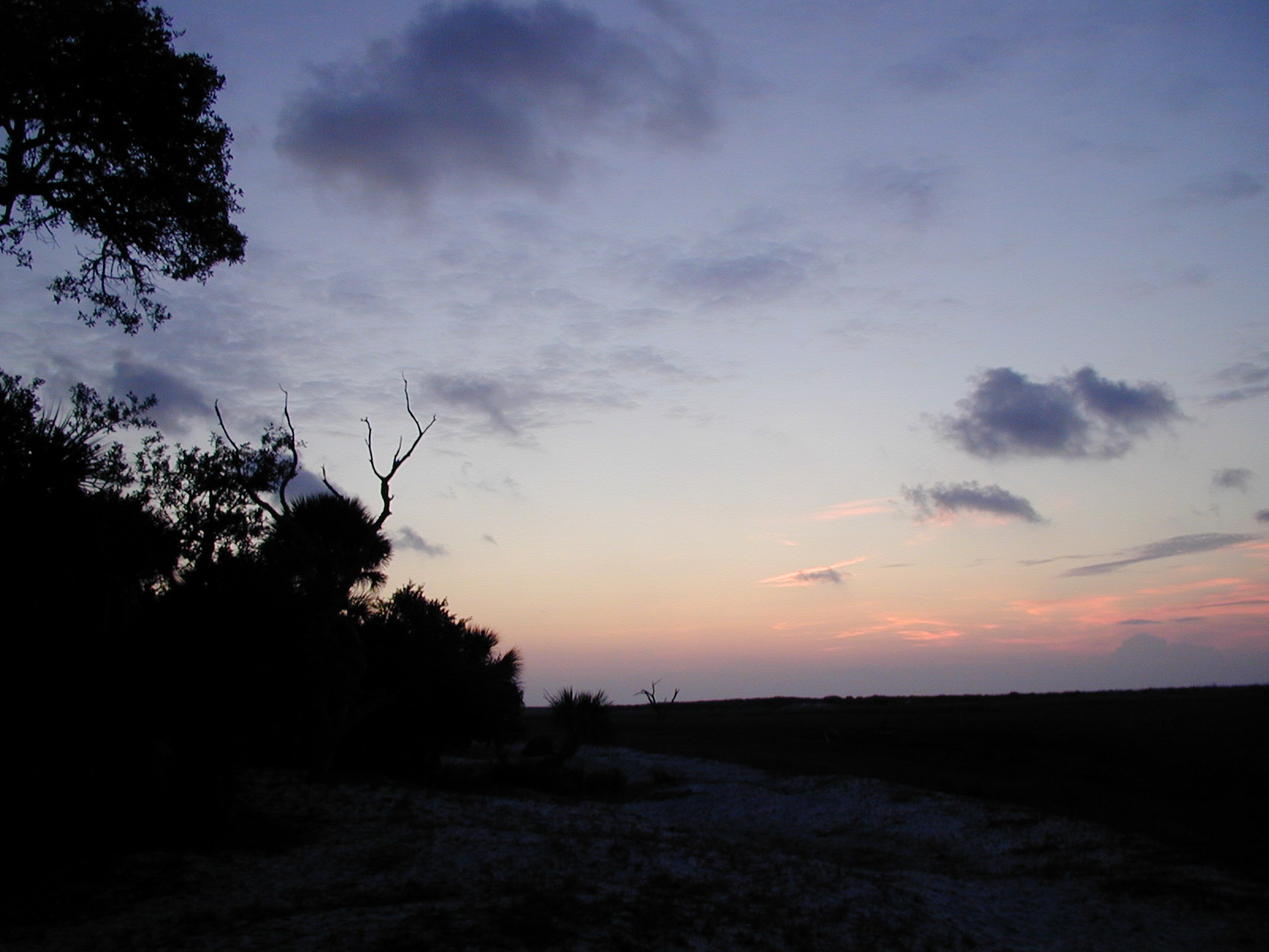 Ossabaw landscape — oss (86)
