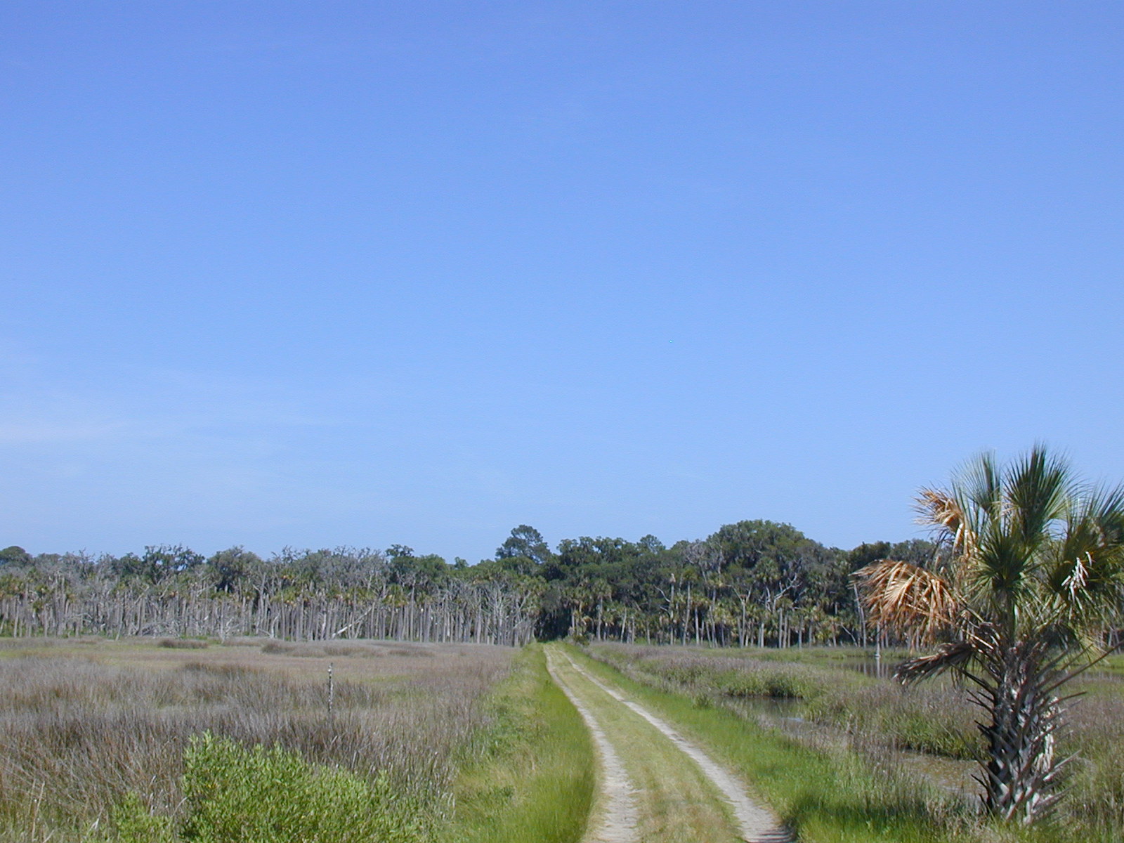 Ossabaw camp — oss (149)