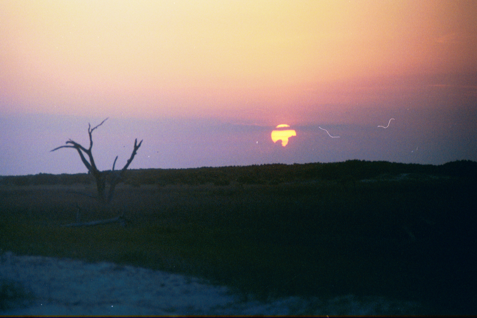 Ossabaw sunset — allosbra (383)