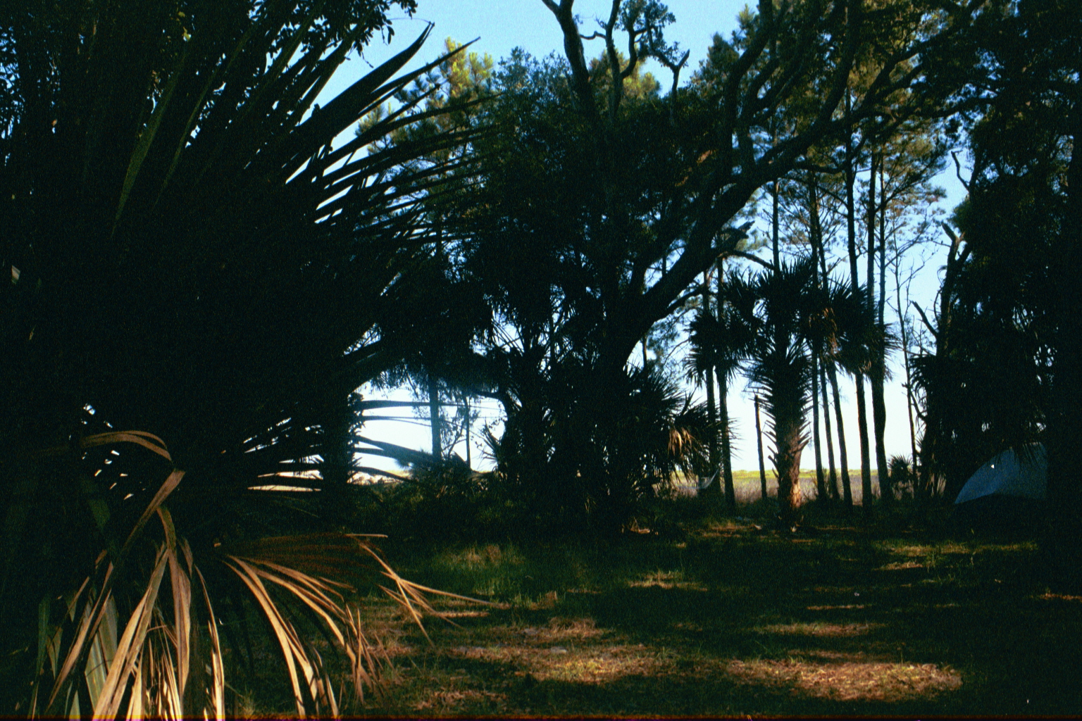 Ossabaw sunset — allosbra (398)