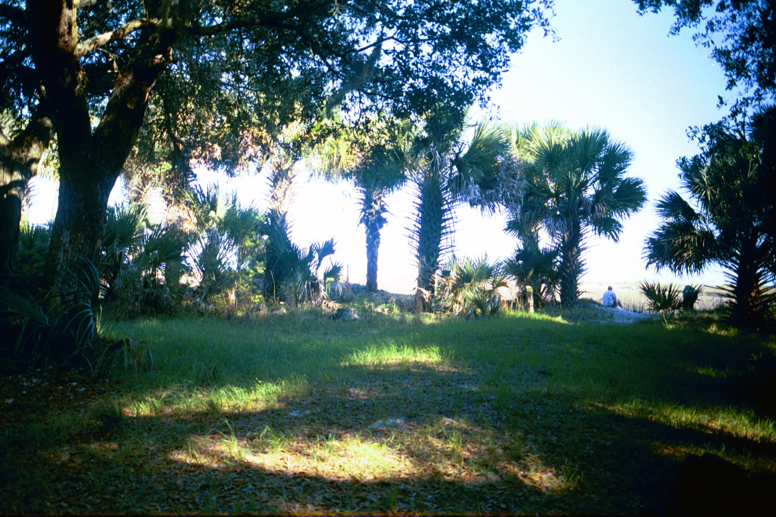 Ossabaw sunset — allosbra (400)