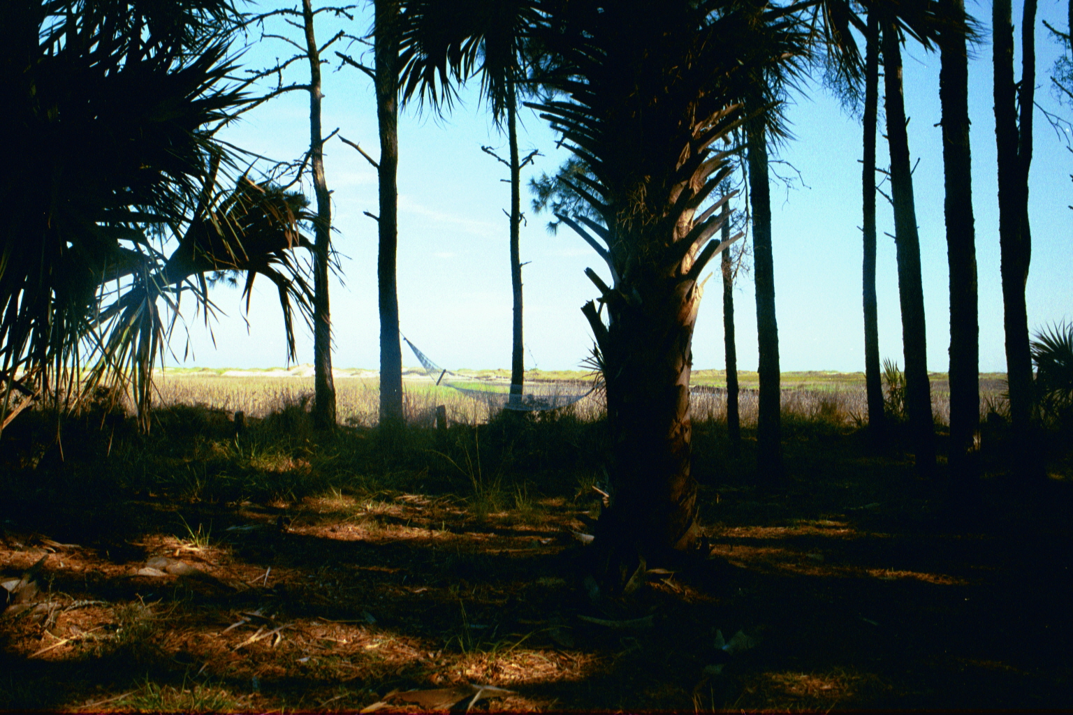 Ossabaw sunset — allosbra (406)