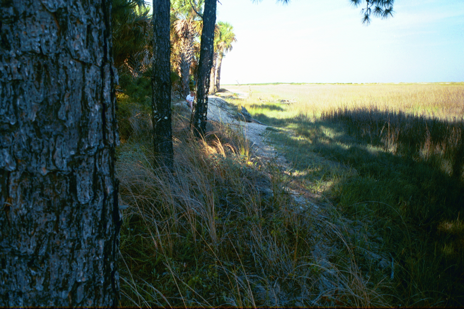 Ossabaw sunset — allosbra (409)