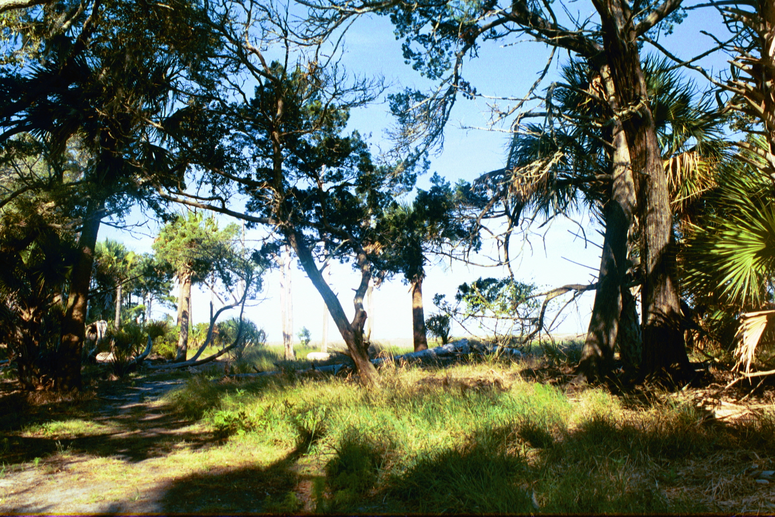 Ossabaw sunset — allosbra (415)
