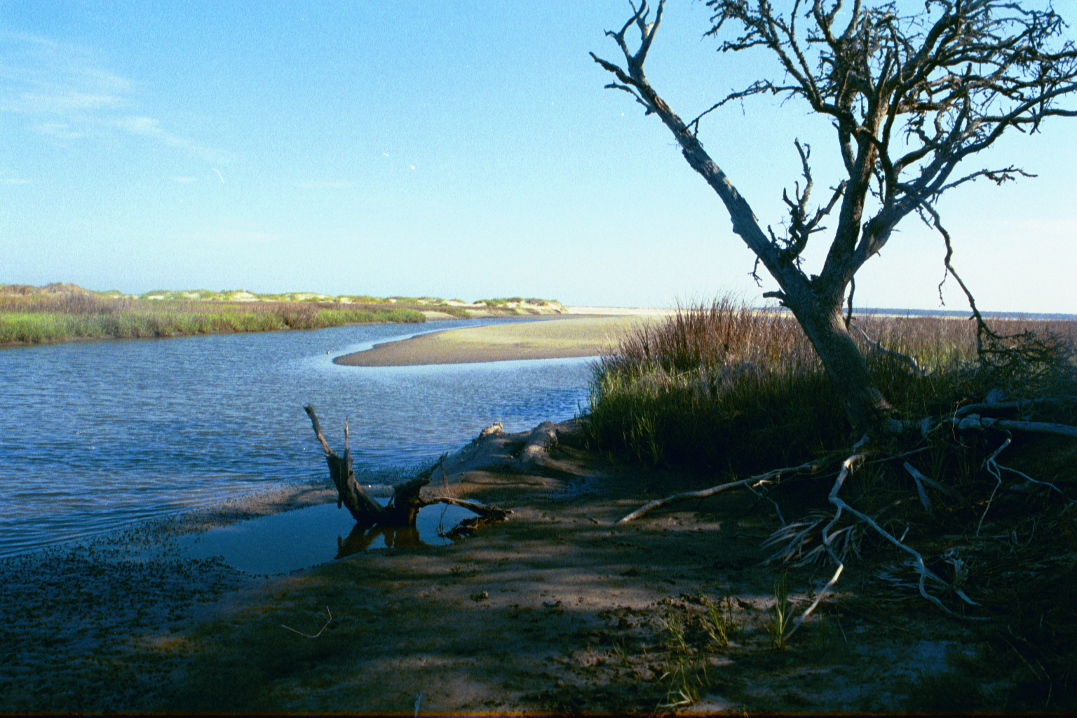 Ossabaw sunset — allosbra (420)