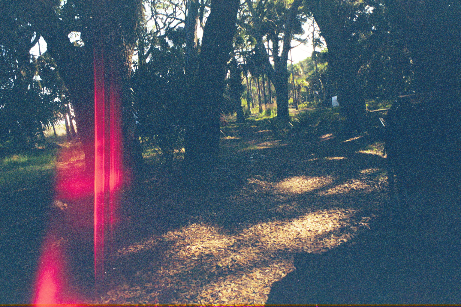 Ossabaw sunset — allosbra (423)