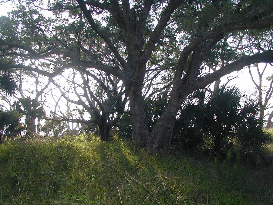 Mystery
